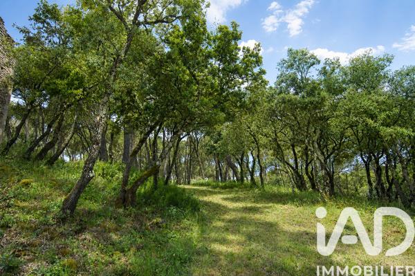 Maison à vendre 20 pièces 850 m² Fontaine-de-Vaucluse