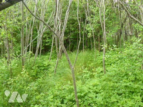 Maison à Vendre à Raon-sur-Plaine (88110) en Vosges (88)

Cette maison de 100 m² de surface h...