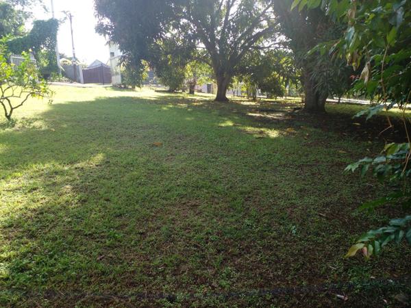 A vendre terrain plat au Lamentin, quartier grand champs