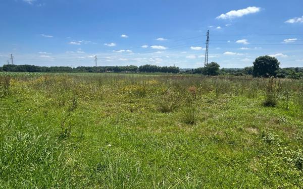 Terrain à vendre    Castétis