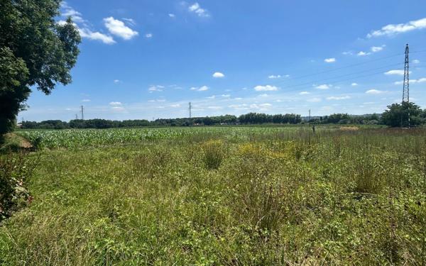 Terrain à vendre    Castétis