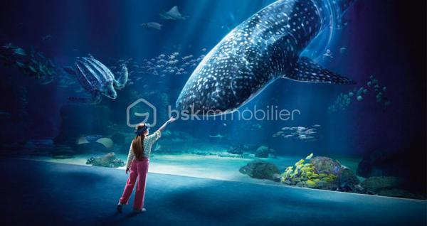 Appartement de 46 m²