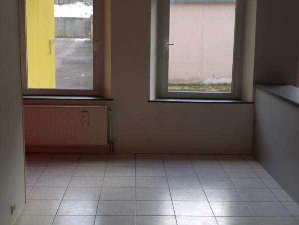 Location Appartement 3 pièces Sainte-Marie-aux-Mines (68160) - Centre Ville