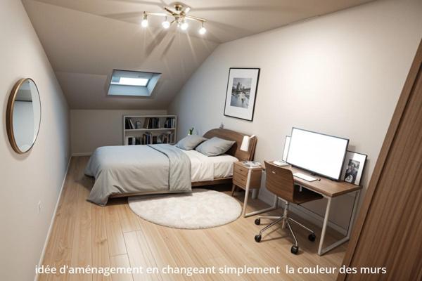 NEUVILLE SUR SAONE. Appartement duplex  114m2, 5 pièces en dernier étage