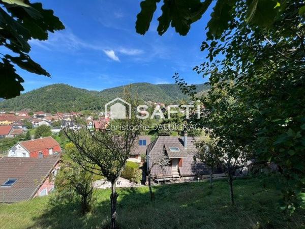 Maison au calme à Oderen