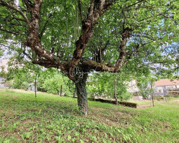 Maison à vendre - 136 m² - BRIVE LA GAILLARDE (19)