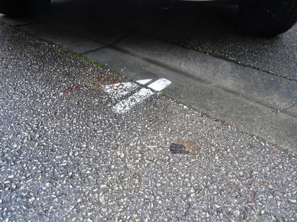 Au coeur des commerces de Chagny