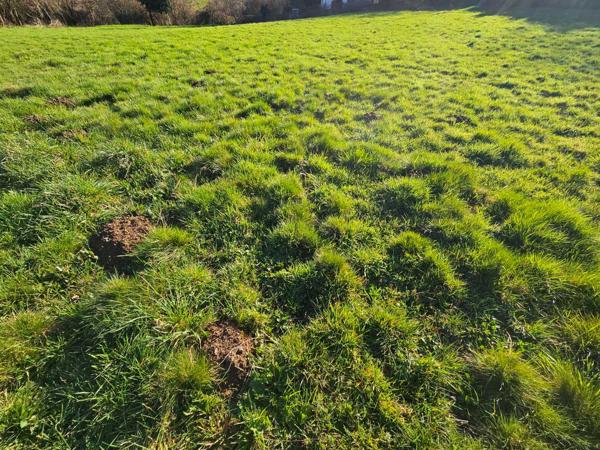 Terrain constructible