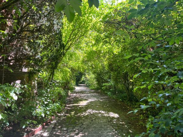 Vente maison de maître 491 m² 12 Pièces Meaux