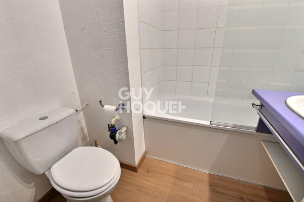 Appartement T1 de 20 m² rénové , Secteur Laënnec Grange Blanche, Lyon 8ème (69008)