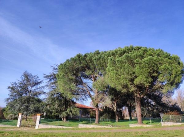 Montauban (82000) Belle Propriété avec dépendance 228 m2