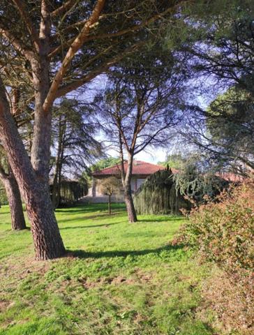 Montauban (82000) Belle Propriété avec dépendance 228 m2