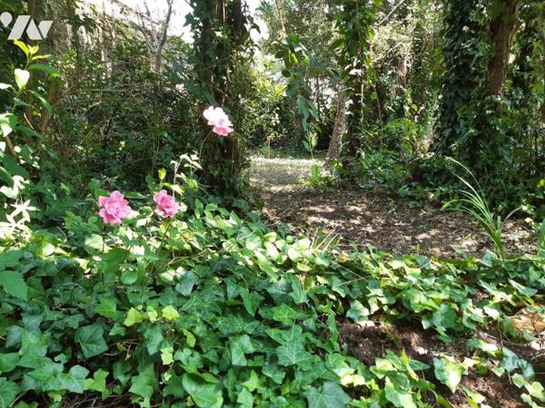 Maison de 80,25m² habitables, 2 CH possible 3, terrain de 505m²