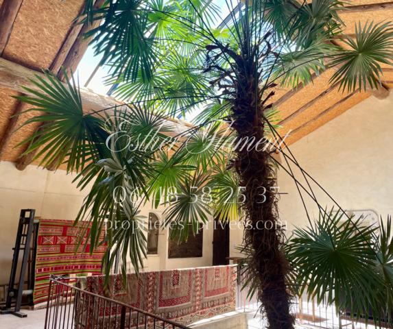 Demeure de prestige au style rhiad idéal exploitation