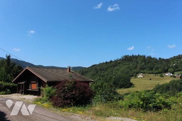 Chalet de montagne avec deux appartements sur 975m² de terrain paysagé