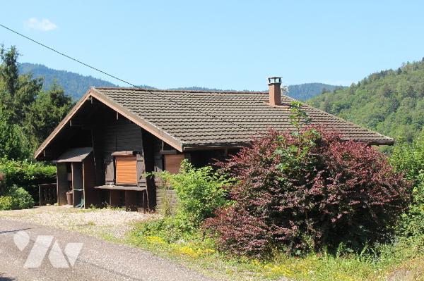 Chalet de montagne avec deux appartements sur 975m² de terrain paysagé