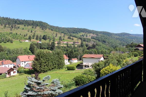 Chalet de montagne avec deux appartements sur 975m² de terrain paysagé