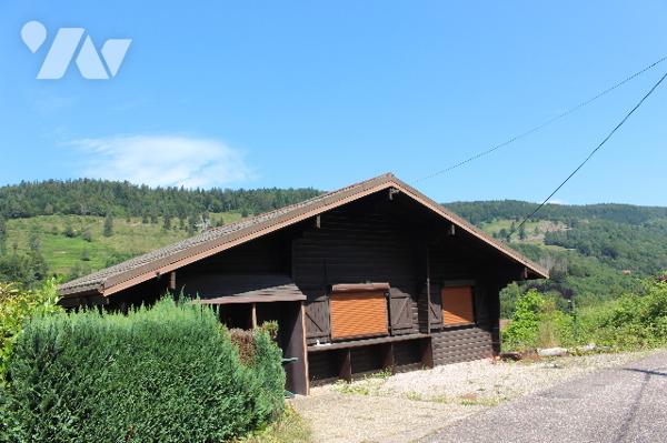 Chalet de montagne avec deux appartements sur 975m² de terrain paysagé