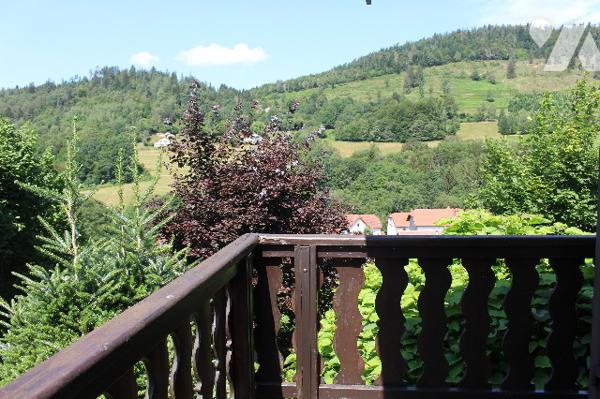 Chalet de montagne avec deux appartements sur 975m² de terrain paysagé