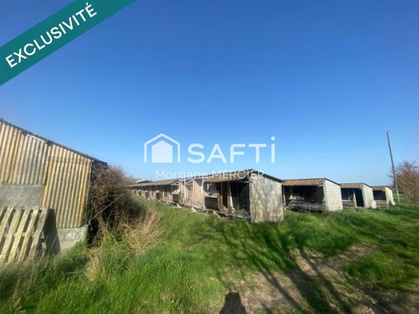 Terrain ancien pigeonnier