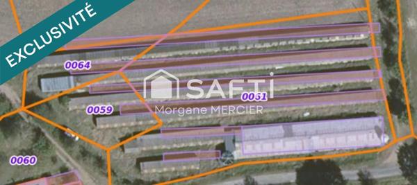 Terrain ancien pigeonnier