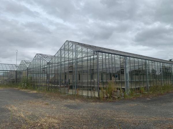 Terrain à vendre de 23 260,00 m² SAINT JEAN DES MAUVRETS (49)