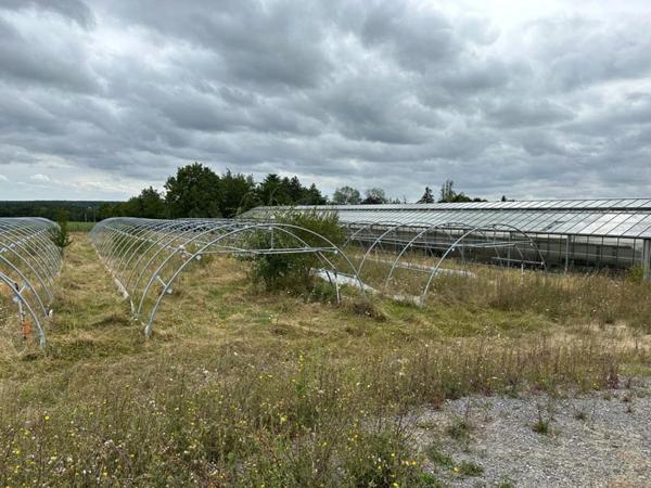 Terrain à vendre de 23 260,00 m² SAINT JEAN DES MAUVRETS (49)