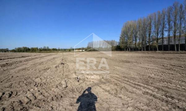 Terrain à vocation industrielle Dunkerque 59640 Petite Synthe