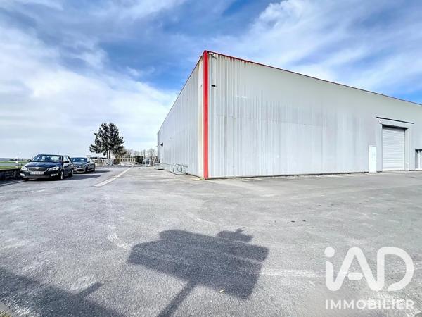 Murs commerciaux  à vendre 1 345 m² Chevry-Cossigny