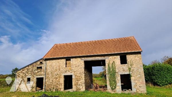 Vente maison + bâtiment + terrain