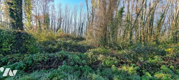Vente Terrain à bâtir à Azay-le-Brûlé