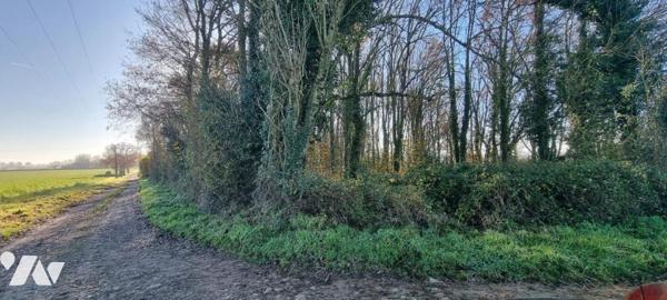 Vente Terrain à bâtir à Azay-le-Brûlé