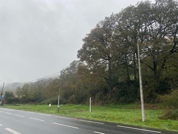 Rare, visibilité et constructible.