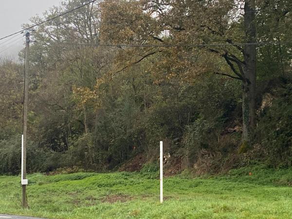 Rare, visibilité et constructible.