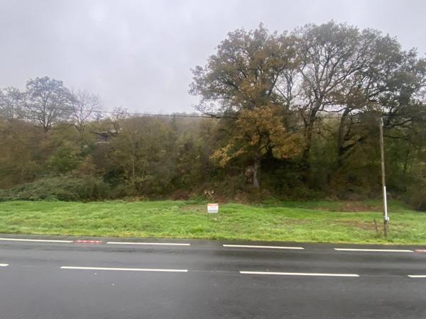 Rare, visibilité et constructible.