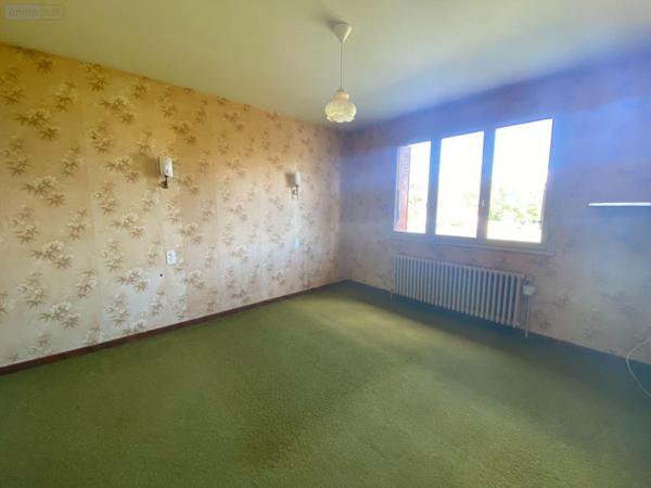 Maison à vendre à Buzançais dans l'Indre (36500), ref : 1049970