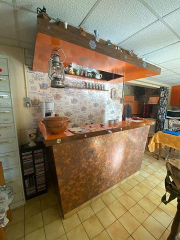 Maison à vendre à Buzançais dans l'Indre (36500), ref : 1049970