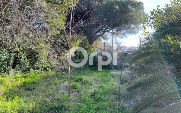 Terrain à vendre    Cannes