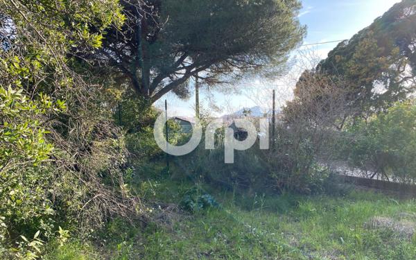 Terrain à vendre    Cannes