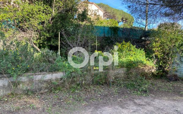 Terrain à vendre    Cannes