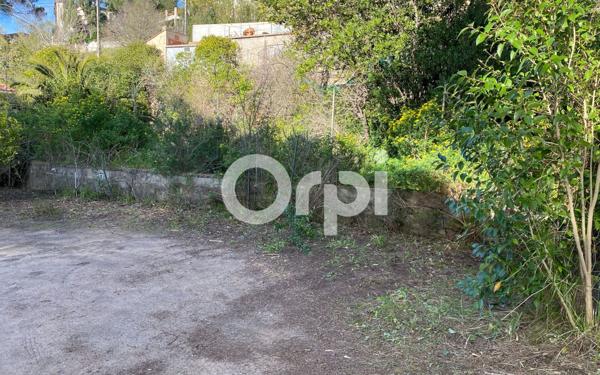 Terrain à vendre    Cannes