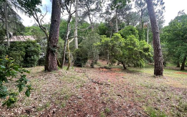 Terrain à vendre    Arcachon