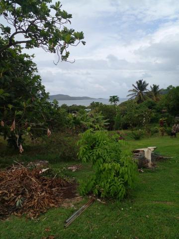 Urgent à vendre terrain de 517 m² à 130Ke à Anse d'Arlet, quartier Cocoyer.