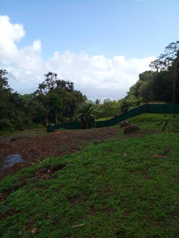 Urgent à vendre terrain de 517 m² à 130Ke à Anse d'Arlet, quartier Cocoyer.