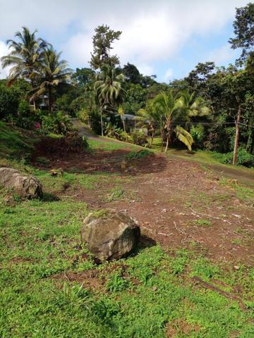 Urgent à vendre terrain de 517 m² à 130Ke à Anse d'Arlet, quartier Cocoyer.