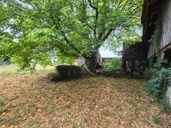 Villeneuve de Marsan