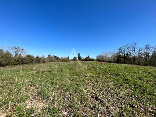 Villeneuve de Marsan