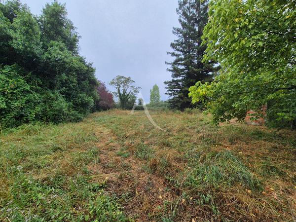 Villeneuve de Marsan