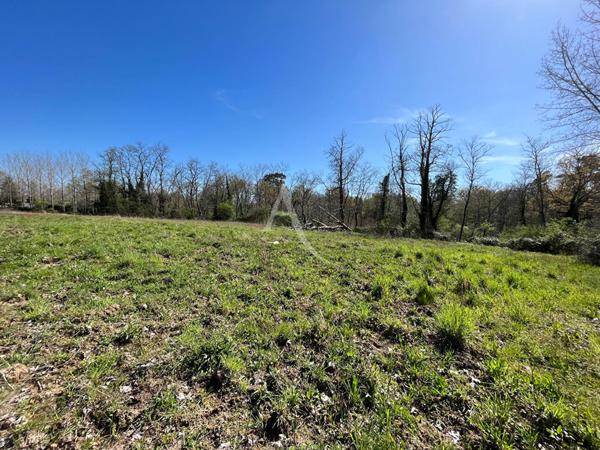 Villeneuve de Marsan