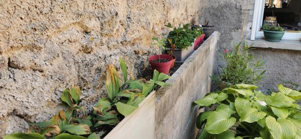 Maison Blenod Les Toul 5 pièce(s) 120 m2